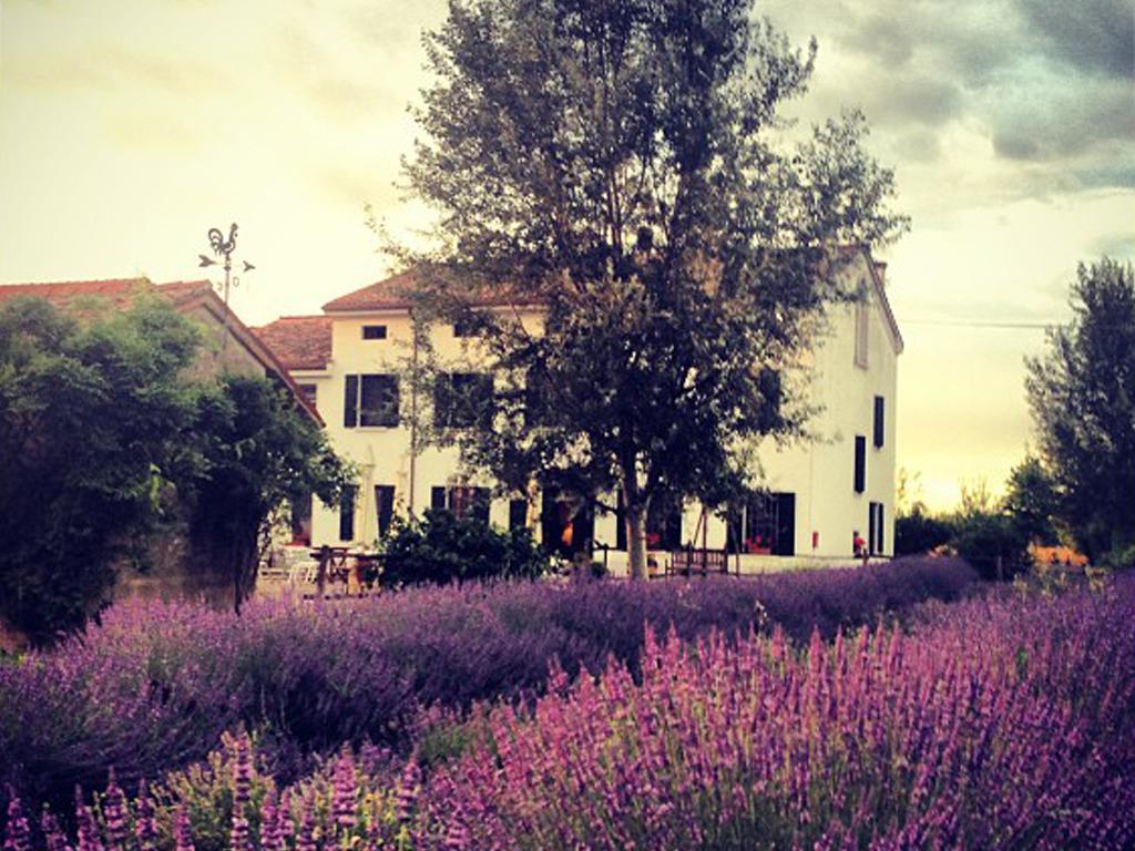 Agriturismo Viridarium Castellucchio Exterior foto
